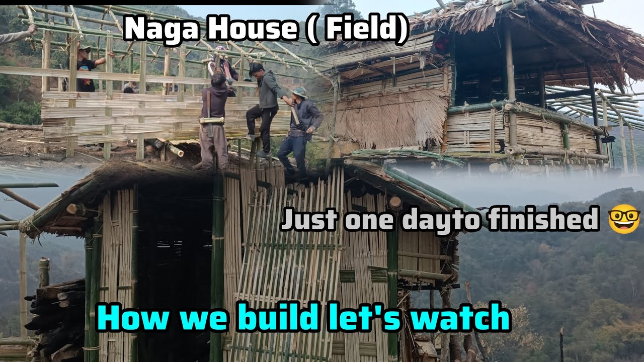 Naga House building in the field #forest #nature #viral #fire #birds #nagaland