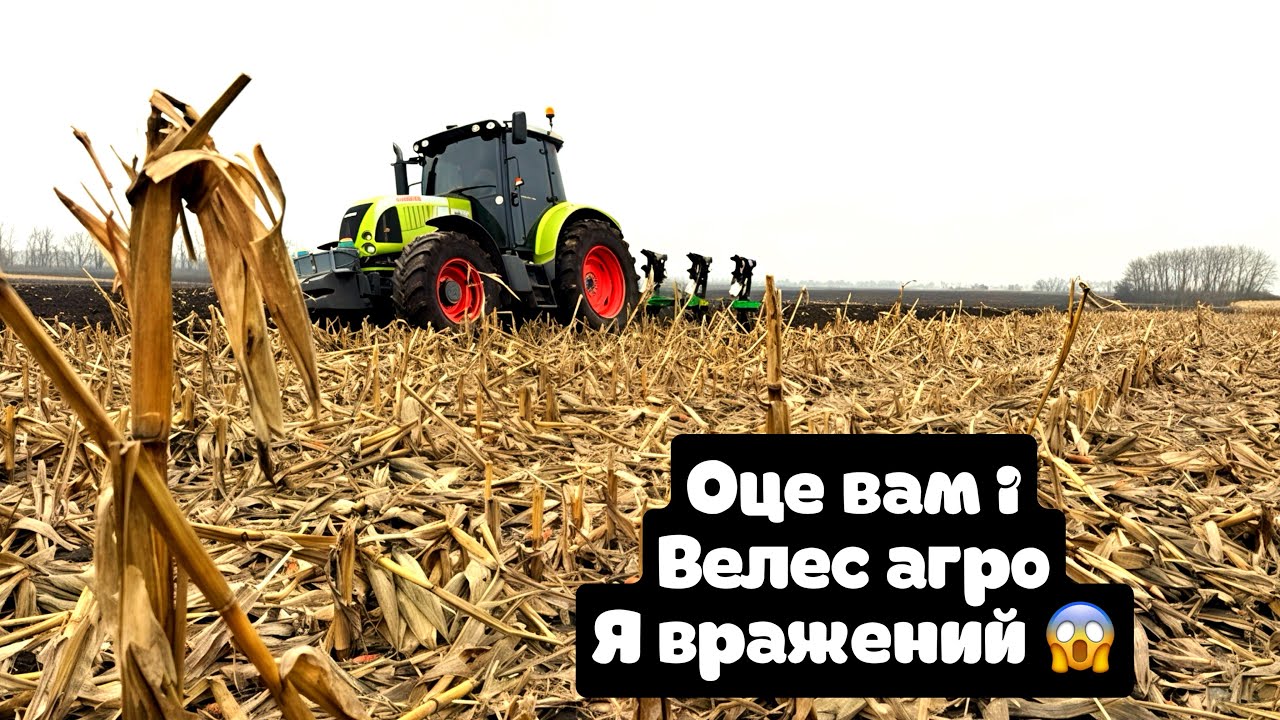 Шо він витворяє😱метрову кукурудзу заорює на раз💪Велес агро понМ 3+1