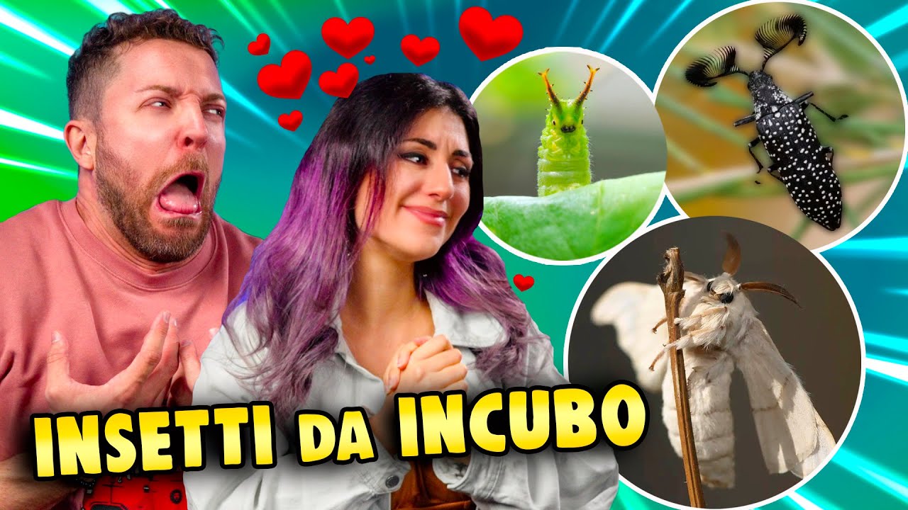 TIER LIST degli INSETTI più ORRIBILI del pianeta con Ambra