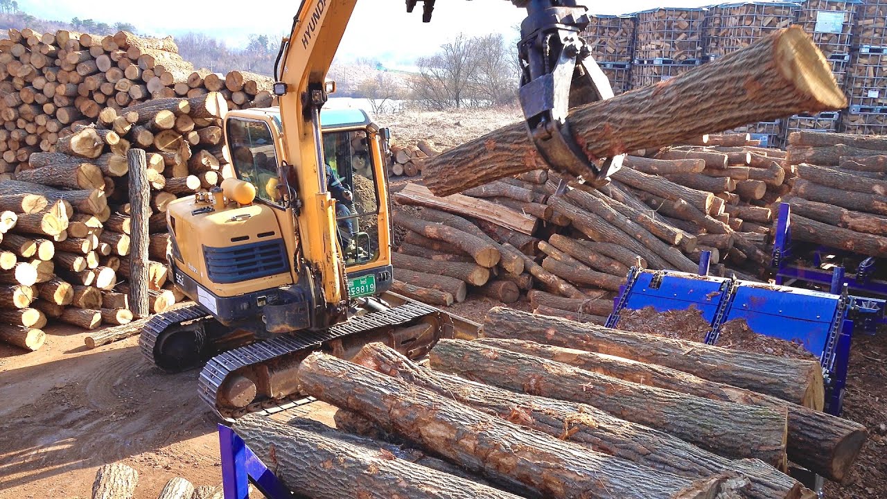 Процесс массового производства 10 000 тонн дубовых дров. Крупнейший завод по производству дров