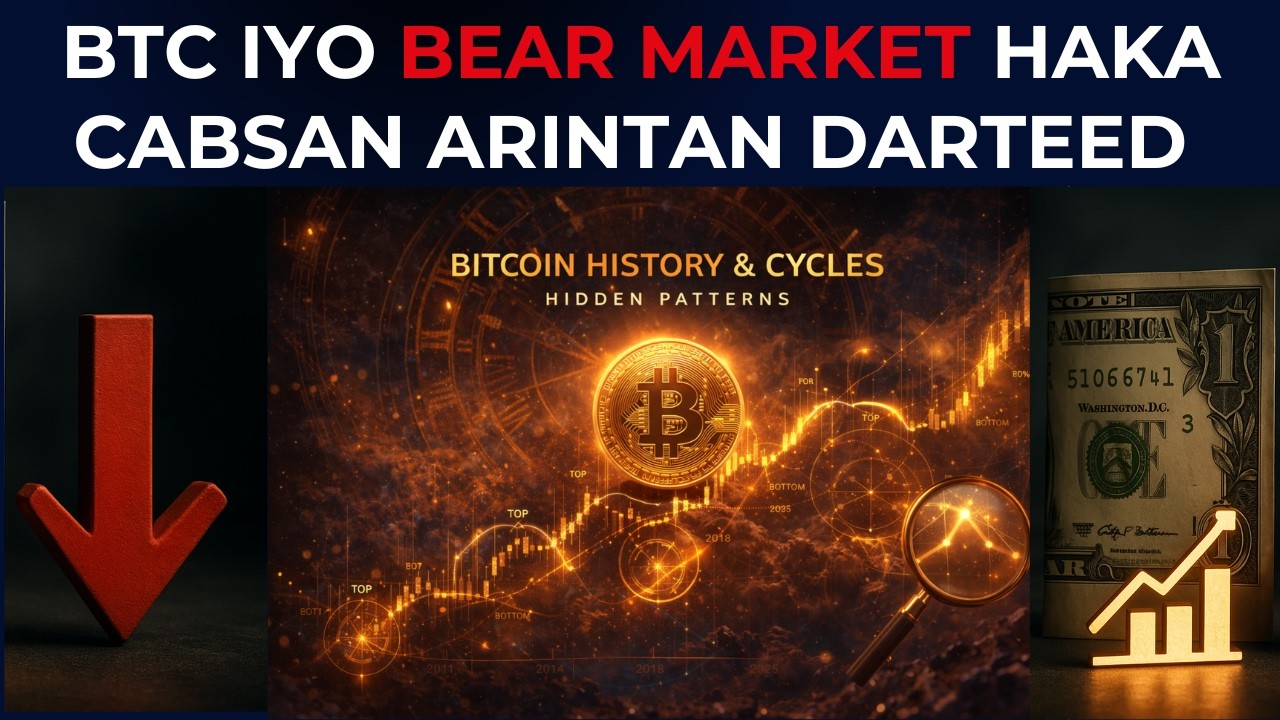BTC BEAR MARKET HAKA CABSAN ARINTAN DARTEED  👉