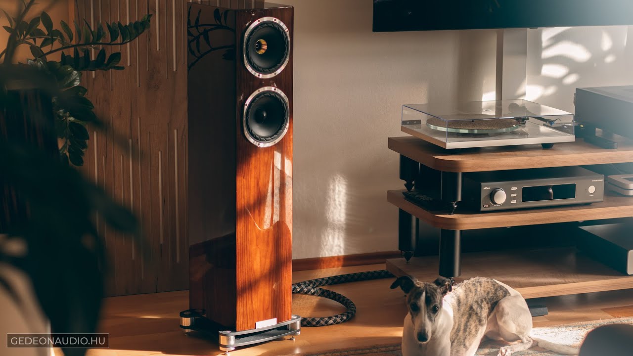 Monumentális Mélyek! - Fyne Audio F501SP Hangfal Teszt - A Legolcsóbb High-End Álló Fyne