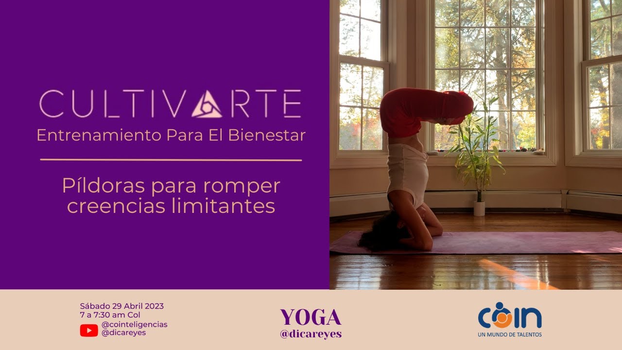 P&iacute;ldoras para romper creencias limitantes