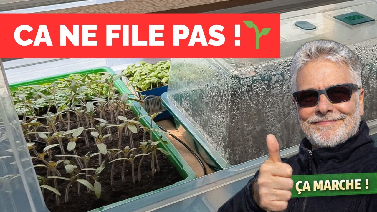 Réussir ses semis toute l’année 🌱 | Mon matériel simple et efficace