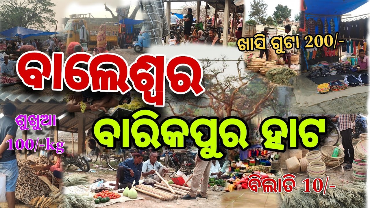 ବାଲେଶ୍ବର ବାରିକପୂର୍ ହାଟ ।। Balasore Baruipur hato🔥💥