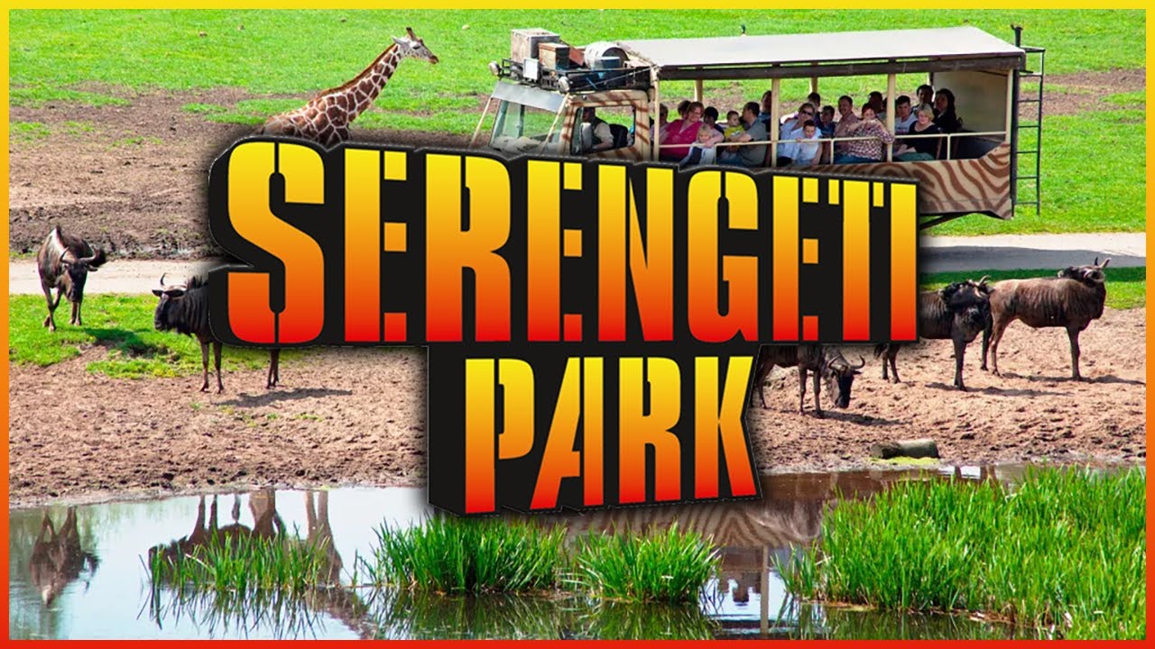 Serengeti Park Hodenhagen 🐯 Die beste Safari Deutschlands!
