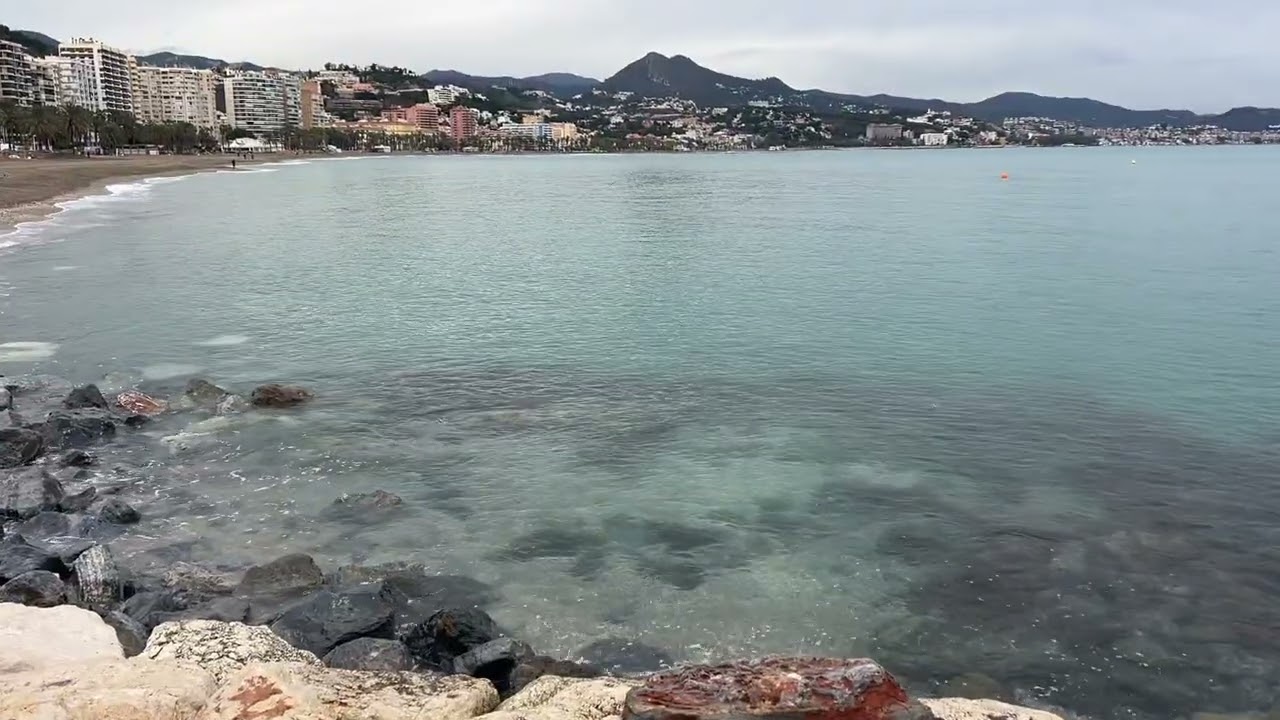 MALAGA LIVE (February 2, 2026)