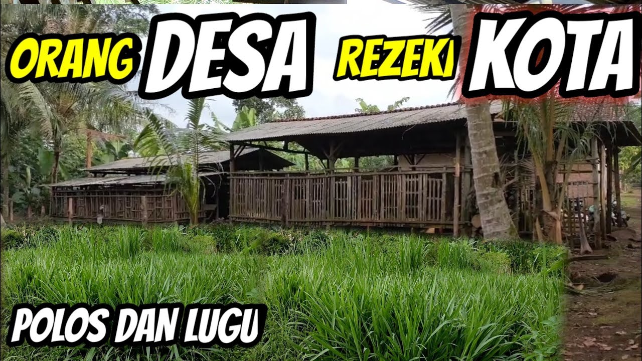 JAM TERBANG DI BUTUHKAN UNTUK JADI PETERNAK HANDAL