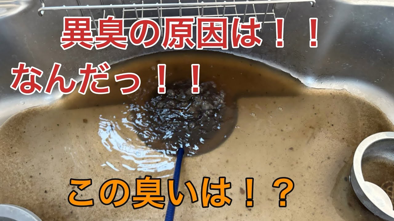 2階台所の異臭の原因は？？強烈な臭いの元を探す