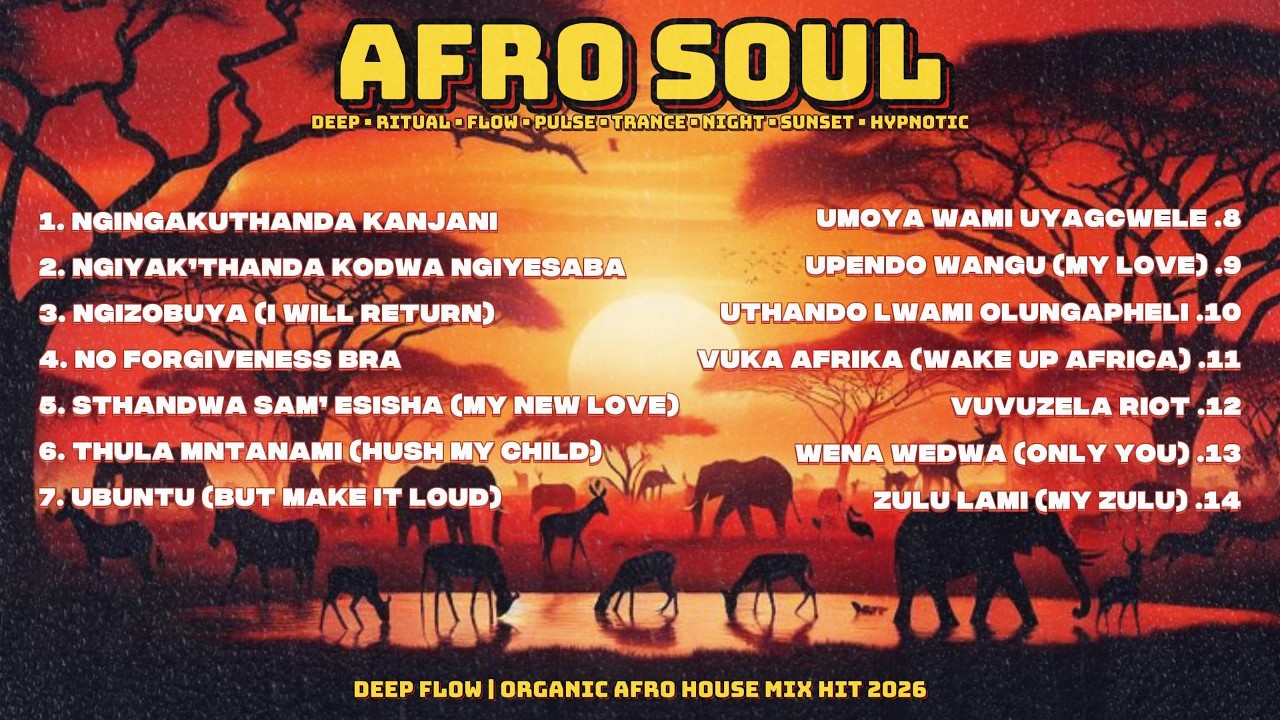 AFRO SOUL JOURNEYS — Soulful, Organic & Relaxing - Travel Vibe Playlist 2026