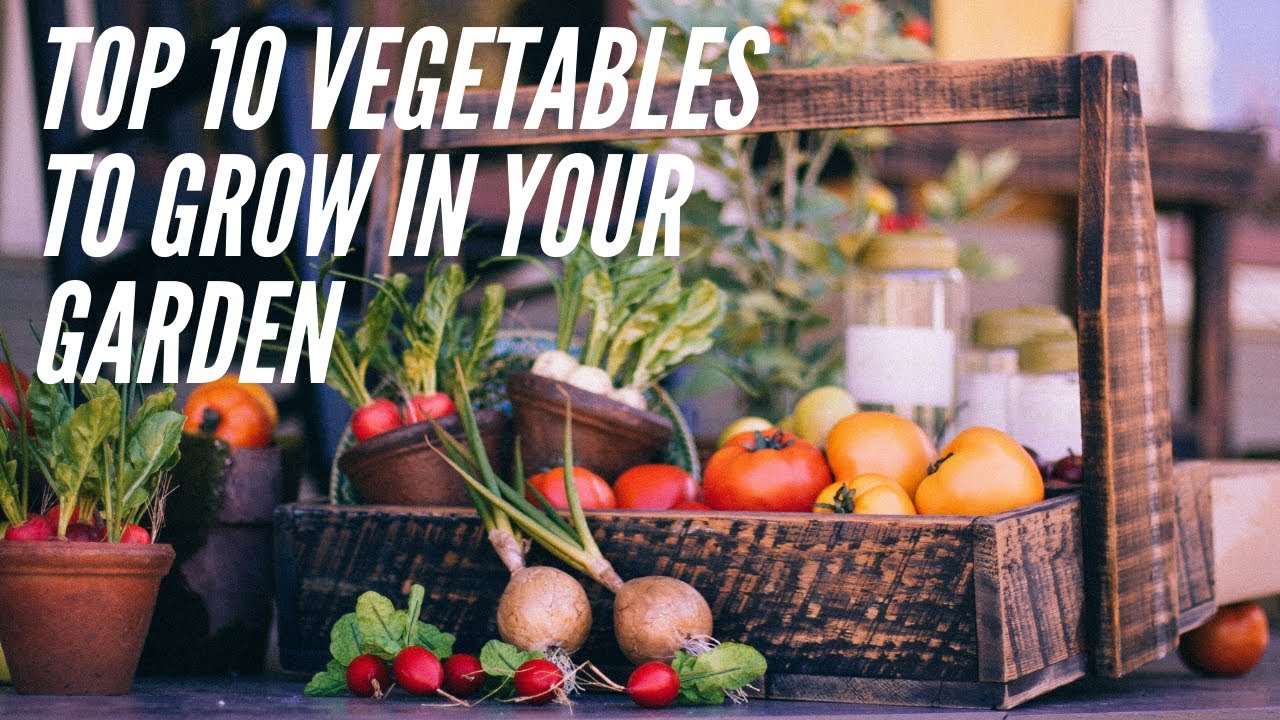 Top 10 Vegetables to Grow in Your Home Garden
