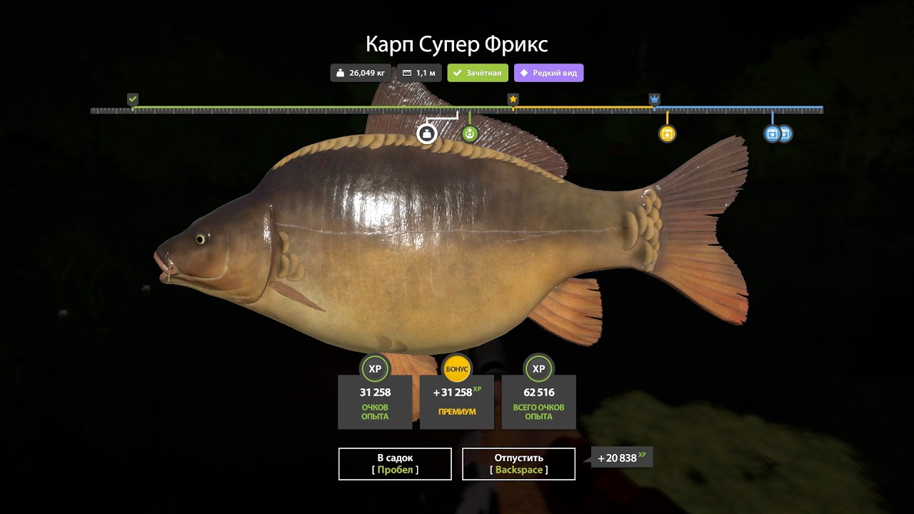 Вкусно фармим серебро на Медном озере. Русская рыбалка 4. РР 4.