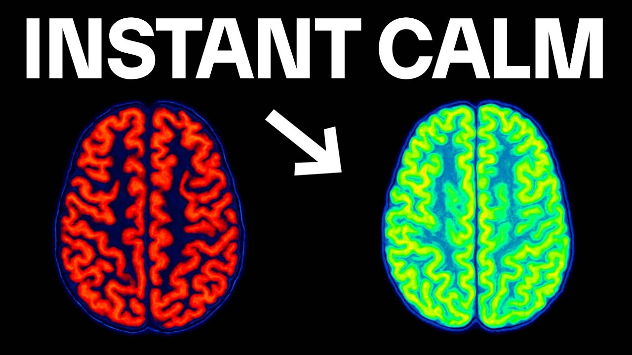 How To Rewire Your Brain To Make Overwhelm Impossible