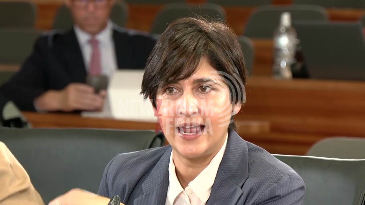 #MadlangaCommission: Tempers flare again...