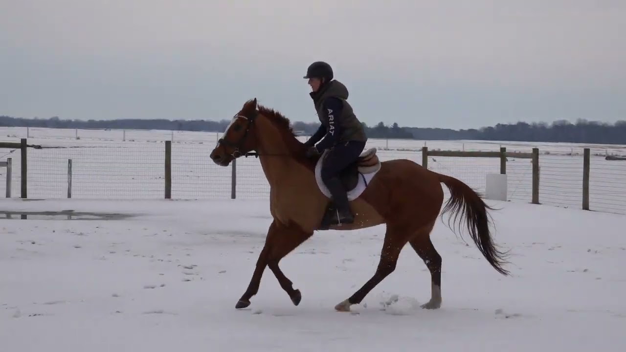 Texas Hobo ride 2 26 26