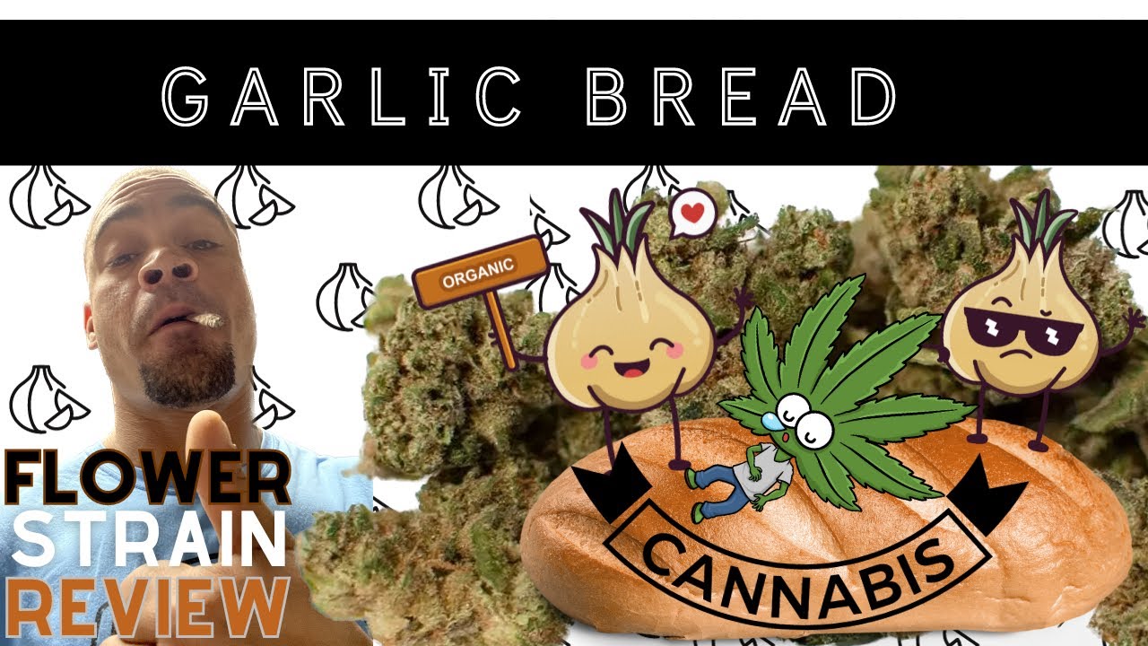 Unveiling The Forbidden Euphoria: Garlic Bread Strain Hits Over 30%THC