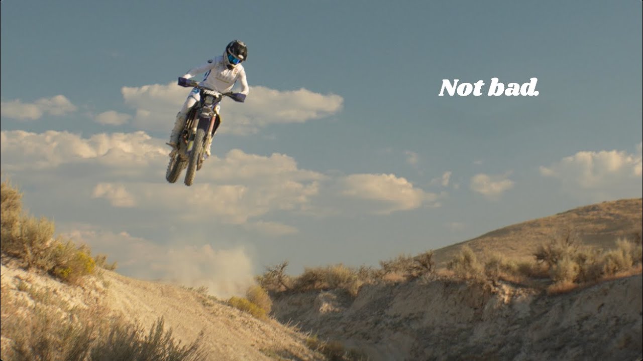 Not bad. | Reed 