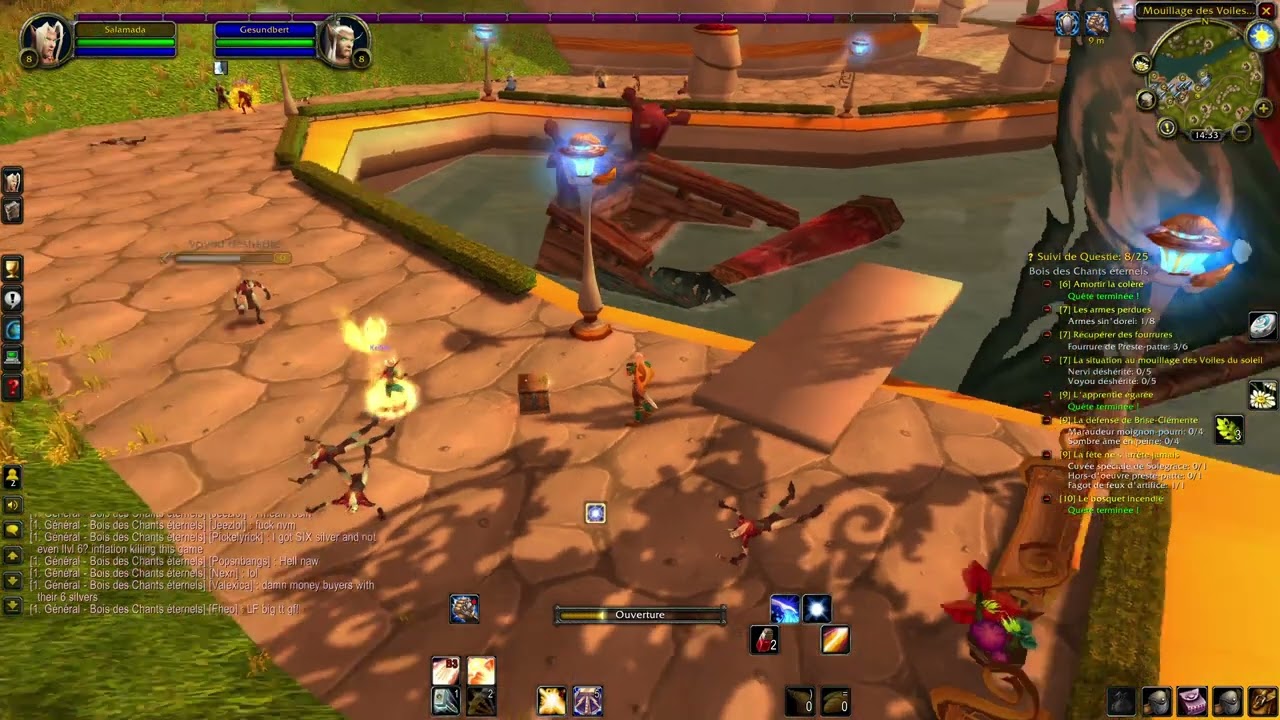 WOW Tbc anniversary Paladin Elfe de sang pexing part 3