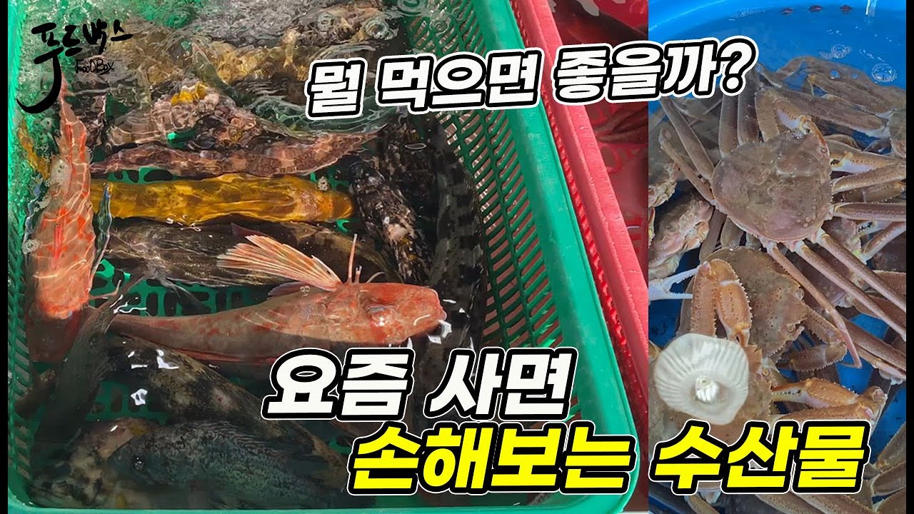 요즘 사면 손해보는 수산물,, 의외로  가성비 좋은 수산물들...