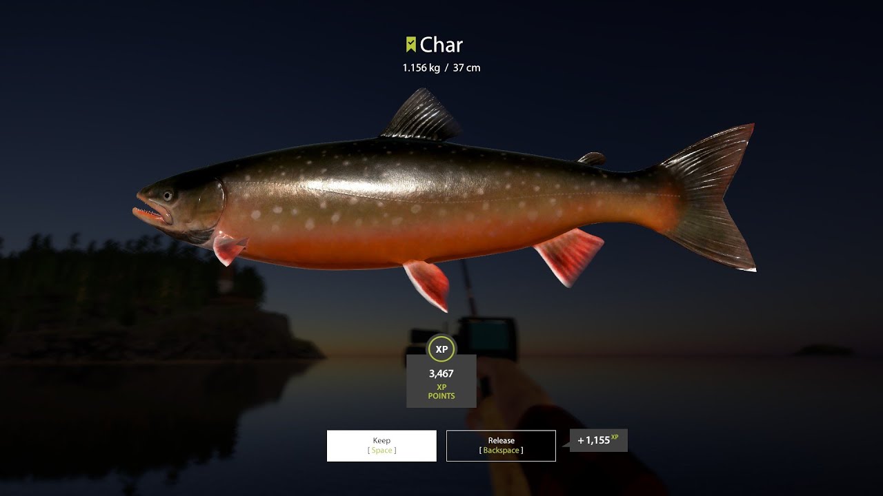 RF4 Hot spot : Ladoga lake Char, Red Char, Grey Char
