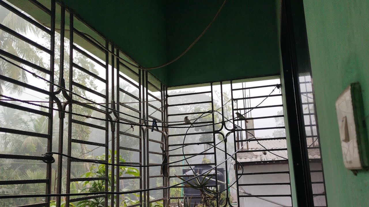 যেই ঠান্ডা পড়ছে মনে হচ্ছে ঠান্ডায় জমে যাব
