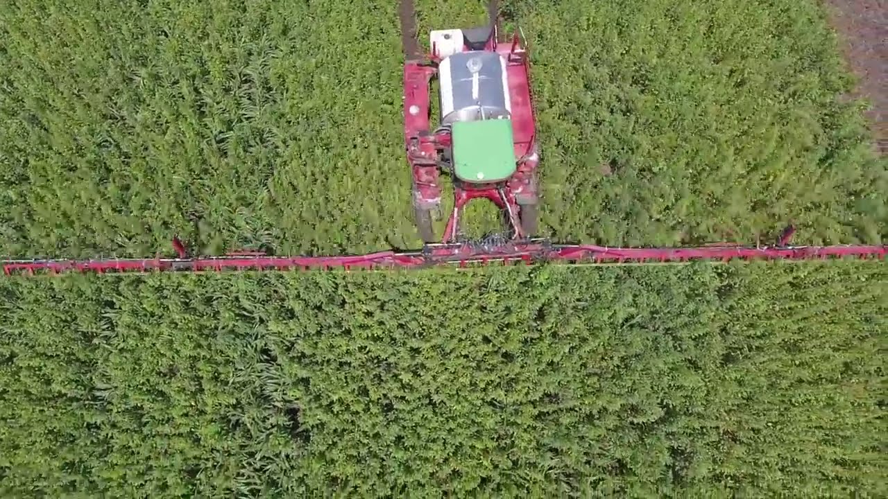 Weed Wiping Peterson Farm Brothers Vlog 8 9 18