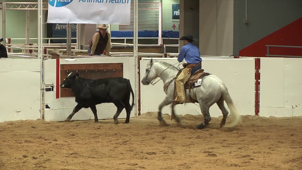 Sixes Sixgun - Crofoot Ranches - AQHA VRH Competition