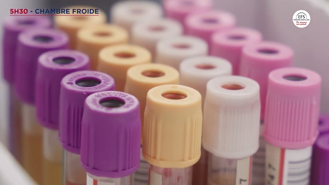 La Qualification Biologique des Dons à l'EFS