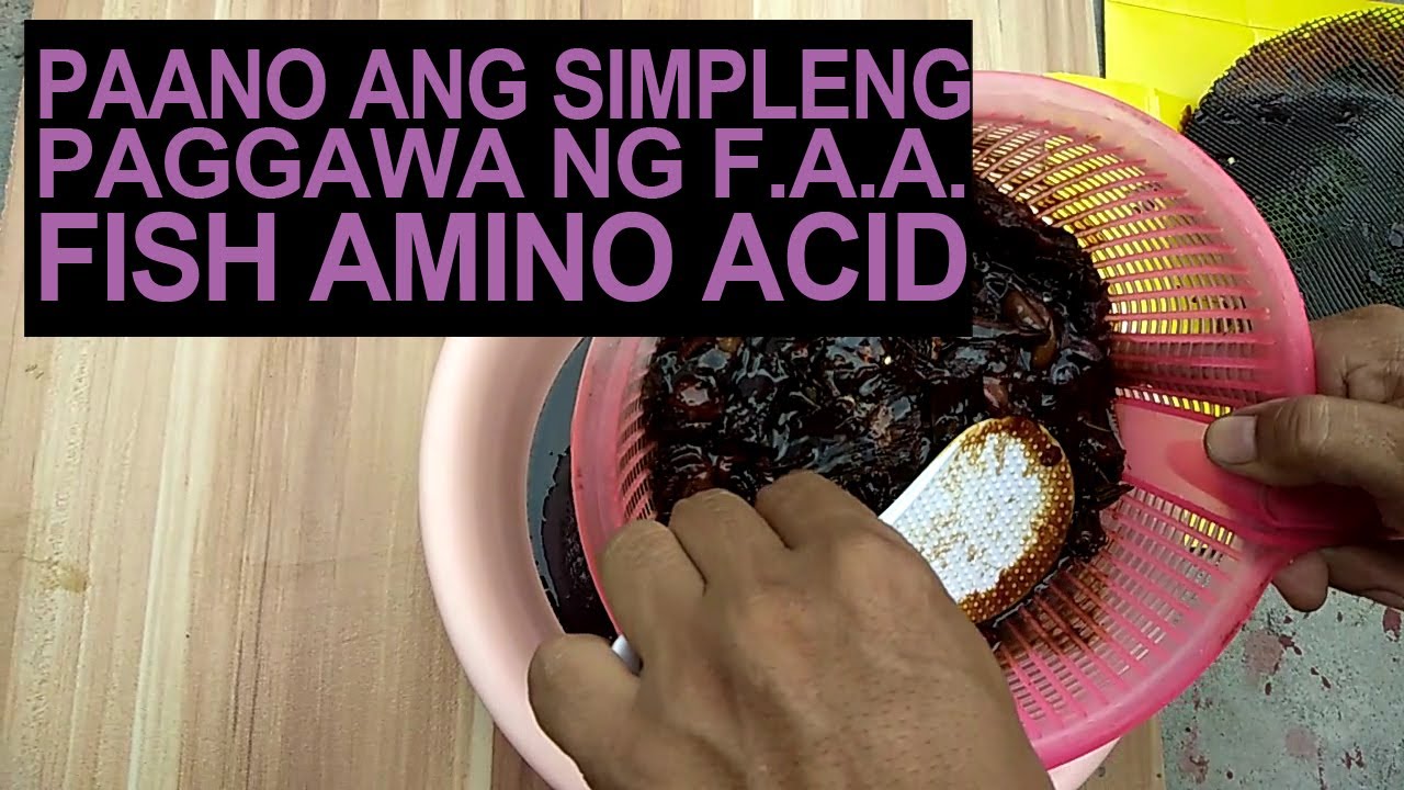 Paano Ang Simpleng Paggawa Ng Fish Amino Acid [FAA] I How To Make Fish Amino Acid [FAA]