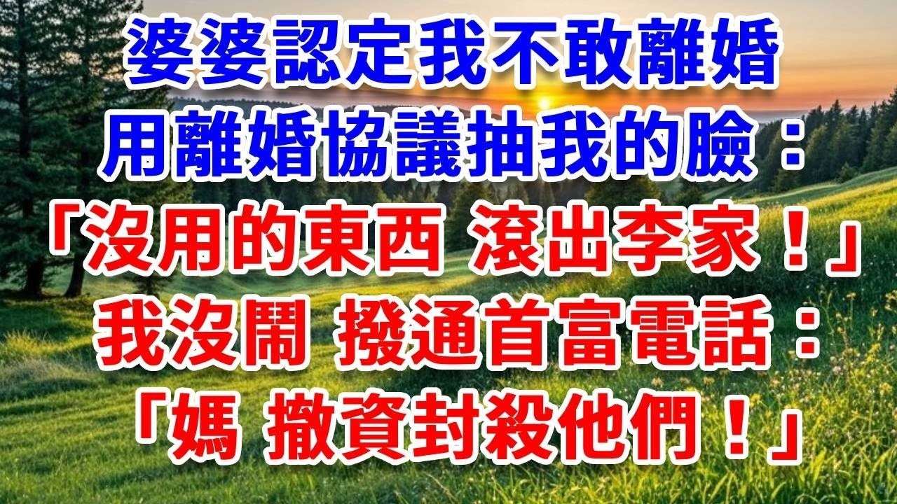 婆婆認定我不敢離婚，用離婚協議抽我的臉：「沒用的東西，滾出李家！」我沒鬧 撥通首富電話：媽 撤資封殺他們！寒風中流浪的婆家集體傻眼！#詩涵講故事#為人處世#生活經驗#情感故事#晚年哲理#說故事#