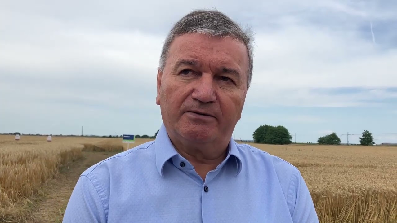 Branko Virag Skupina Panvita - izjava