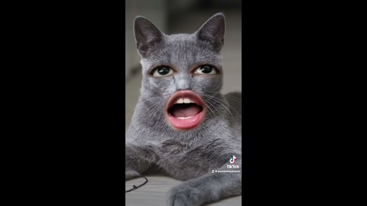 Aurélie compilation 😂😂😂