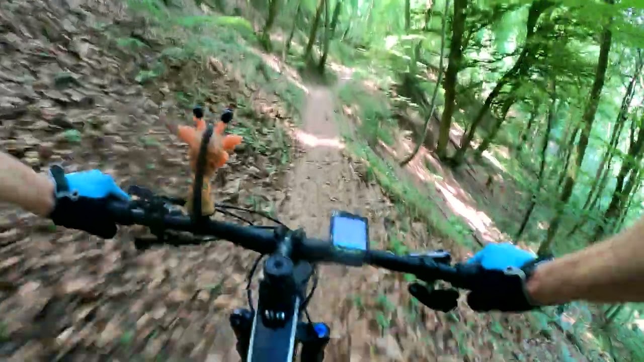 MTB Mont Vully - 4K | Donnerbuddies