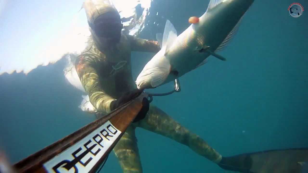 TROFE PEŞİNDE - 2  2012  ( Zıpkın Avı, Spearfishing - Emre İNAN )
