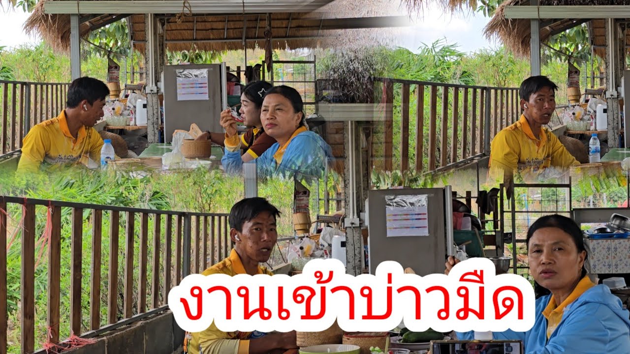 งานเข้า บ่าวมืด ถึงกับ ประกาศ ผู้ช่วยด่วน#ย่าอชิกกกอก 