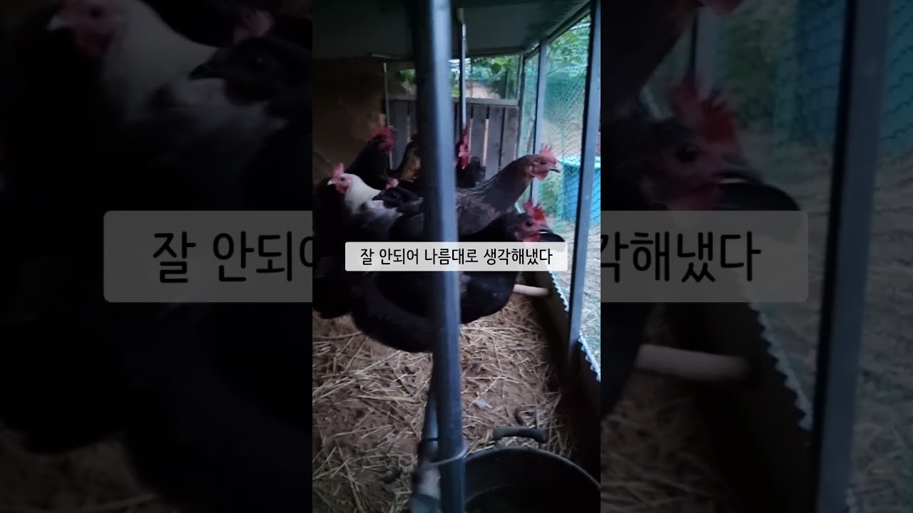포란 못하게 하는 방법