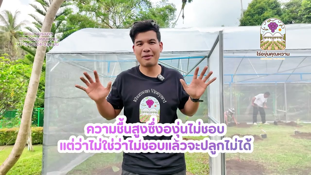 ใครบอกภาคใต้ปลูกองุ่นไม่ได้? มาดูคลิปนี้!
