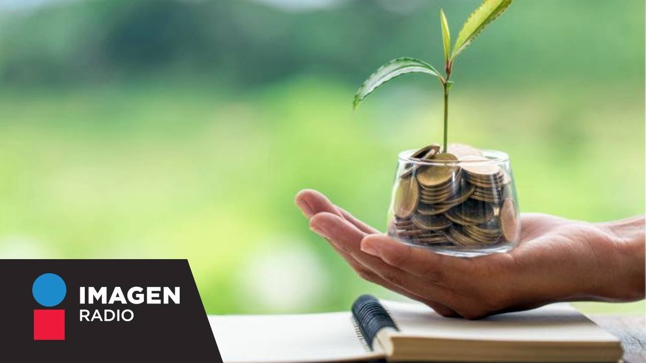 ¿Qué son los criterios ESG y por qué son tan relevantes?