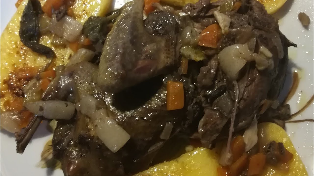Brasato di colombaccio. Vino consigliato Bonarda dell'oltre Po Pavese