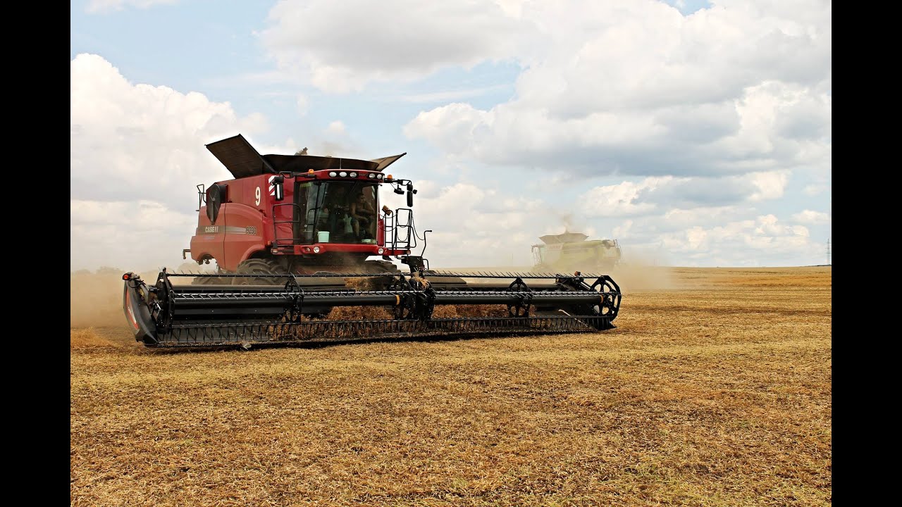 Case IH Axial-Flow 9230 & Claas Lexion 770 | Harvesting Pea | Combine Harvester Show | Farming