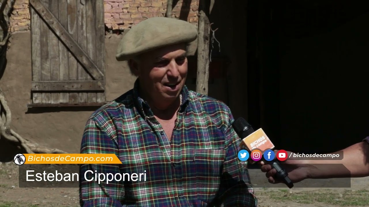 Esteban Cipponeri, 