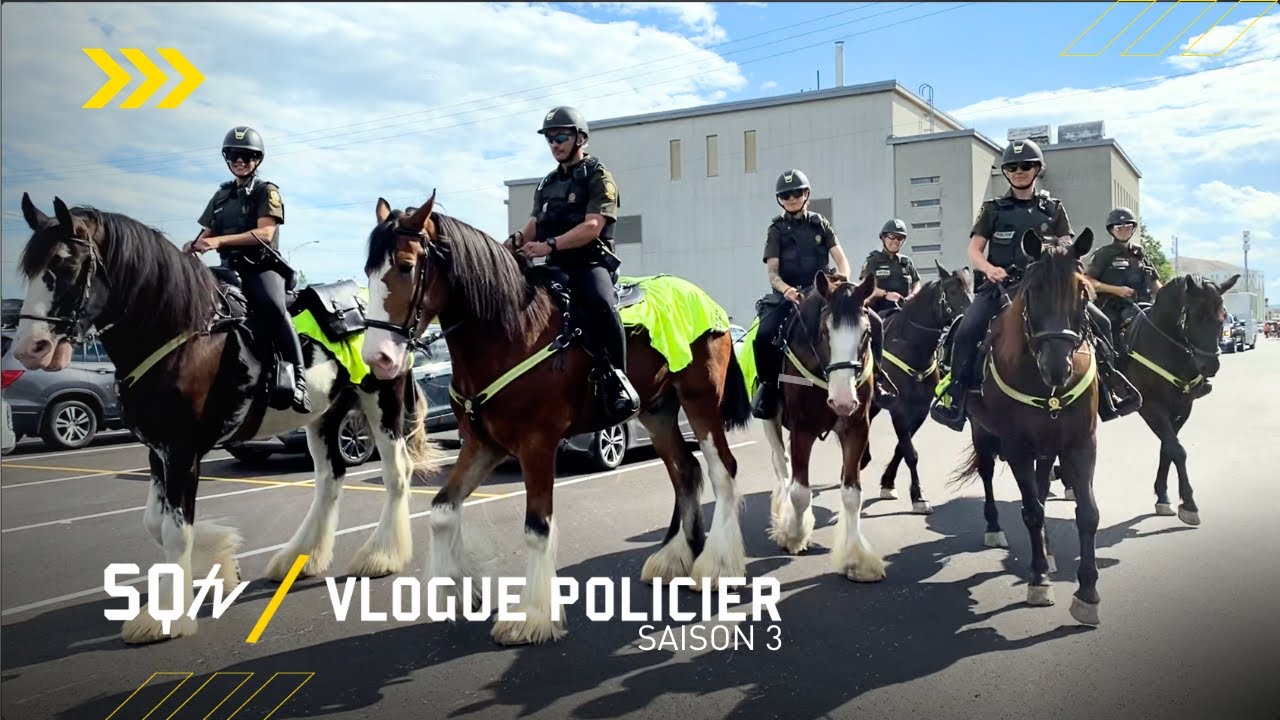 Faites venir la cavalerie!  | SQtv Vlogue policier S.3 Ép. 14
