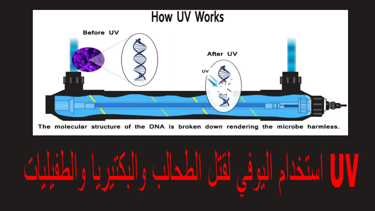 استخدام اليوفي لقتل الطحالب والبكتيريا والطفيليات UV
