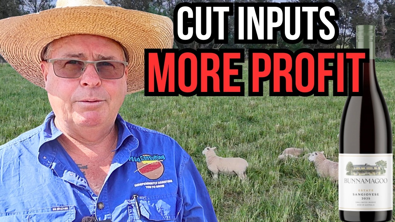 How Soil Biology Lifts Lamb & Vineyard Profit