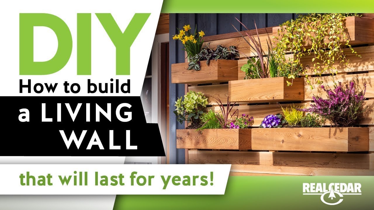 How to Build a Living Wall and Bring Elements of Biophilic Design into Your Home - RealCedar.com