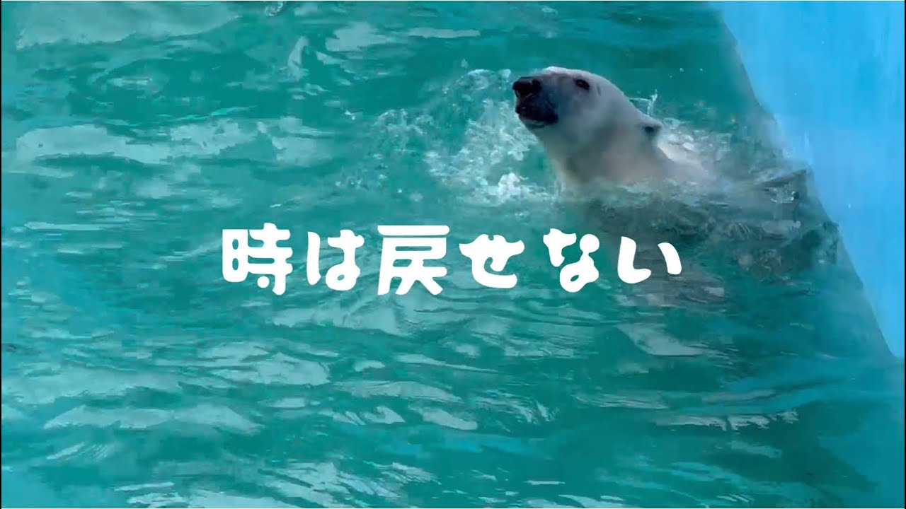 ミルクもキロルも誰も悪くない‥二度と起きない、起こさないために
