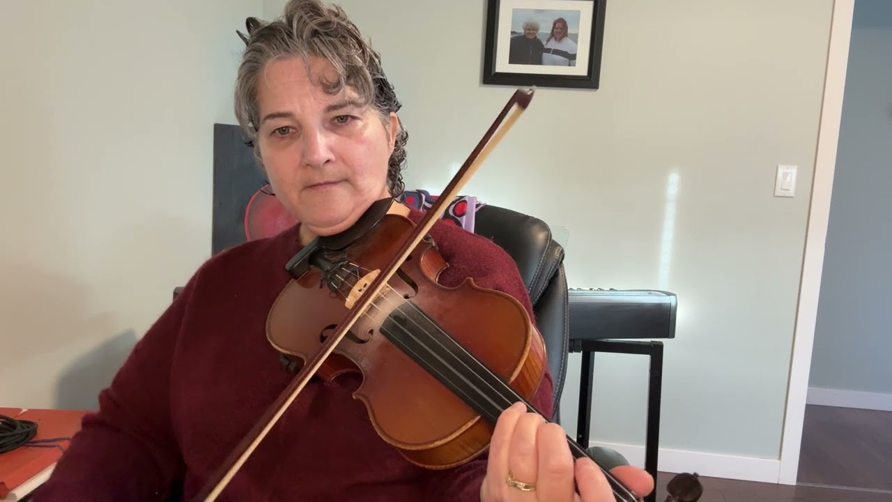Day 342 - The Blarney Pilgrim - Patti Kusturok’s 366 Days of Fiddle Tunes