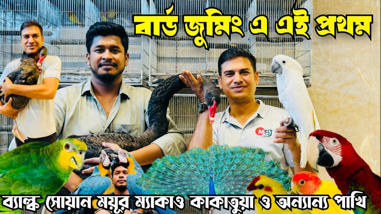 ব্ল্যাক সোয়ান ময়ূর ম্যাকাও কাকাতুয়া সহ লক্ষ লক্ষ টা'কার পা'খি | Bird Zooming | Biggest Pet Shop