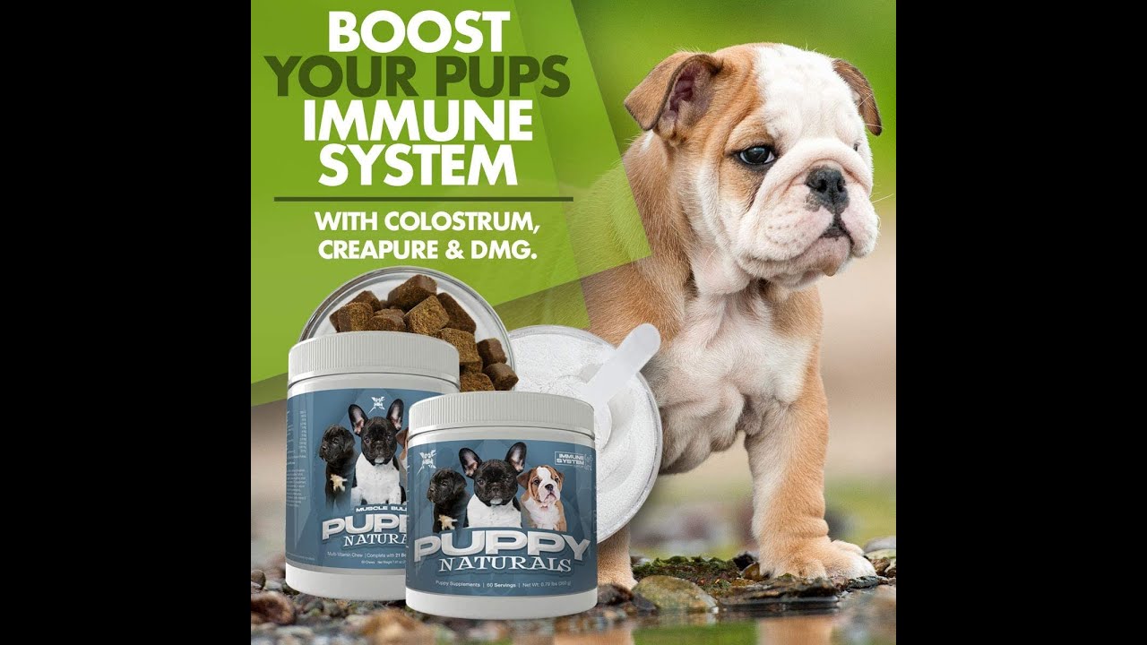 Muscle Bully Puppy Naturals (60 Serving) - A Healthy Nutritional Formula for Growing Puppies