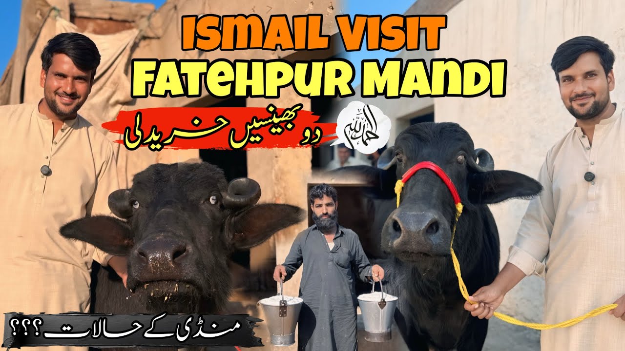 Ismail Jutt Visit Fatehpur Mandi